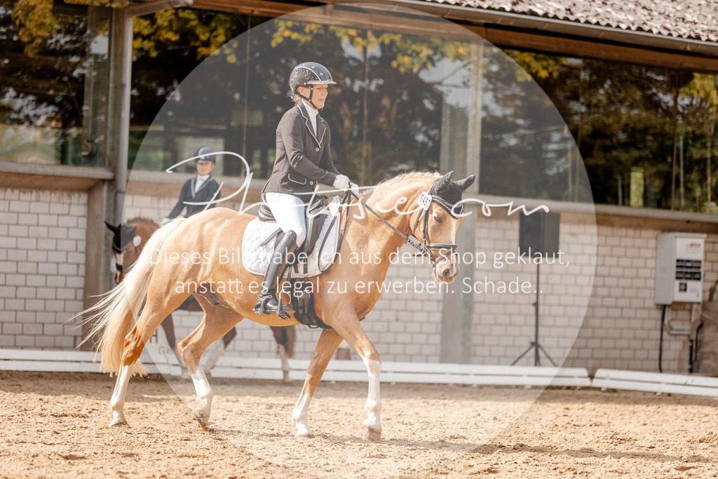 3I6A4356 | Stimmungsvolle Portraits und Reitsportfotografie im Ruhrgebiet und im Münsterland.

Pferdefotografie, Hundefotografie, Tierfotografie, Reportagen, Portraits von Tier und Mensch, Turnierfotografie in Bochum, Recklinghausen, Marl, Haltern am See, Dülmen.. - Realisiert mit Pictrs.com