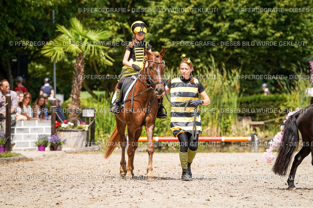 DSC03123 | Pferdegrafie