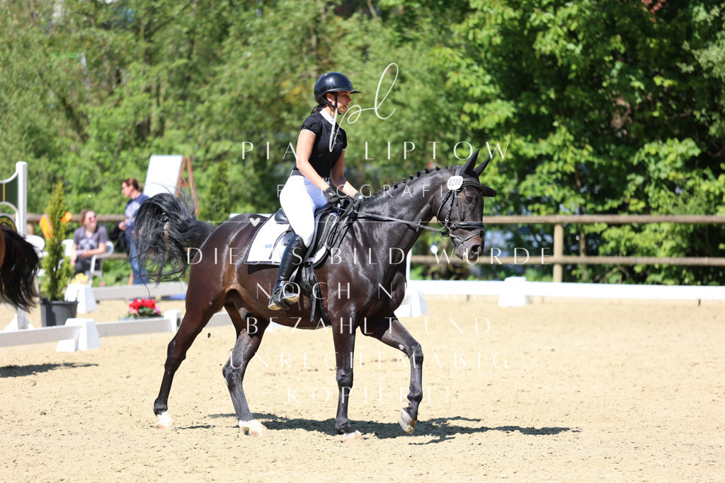 IMGS3683 | pl-fotografie