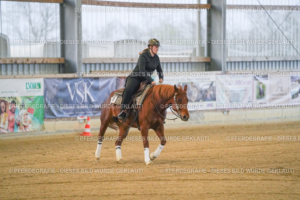 DSC09260 | Pferdegrafie