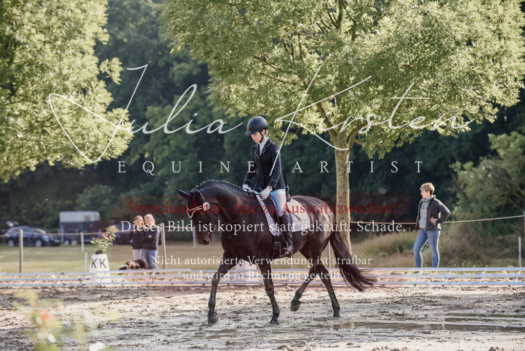DSC_7821 | Pferde- und Turnierfotografie in Westsachsen. Pferdeportraits, Auftragszeichnungen und intuitive Kunst.