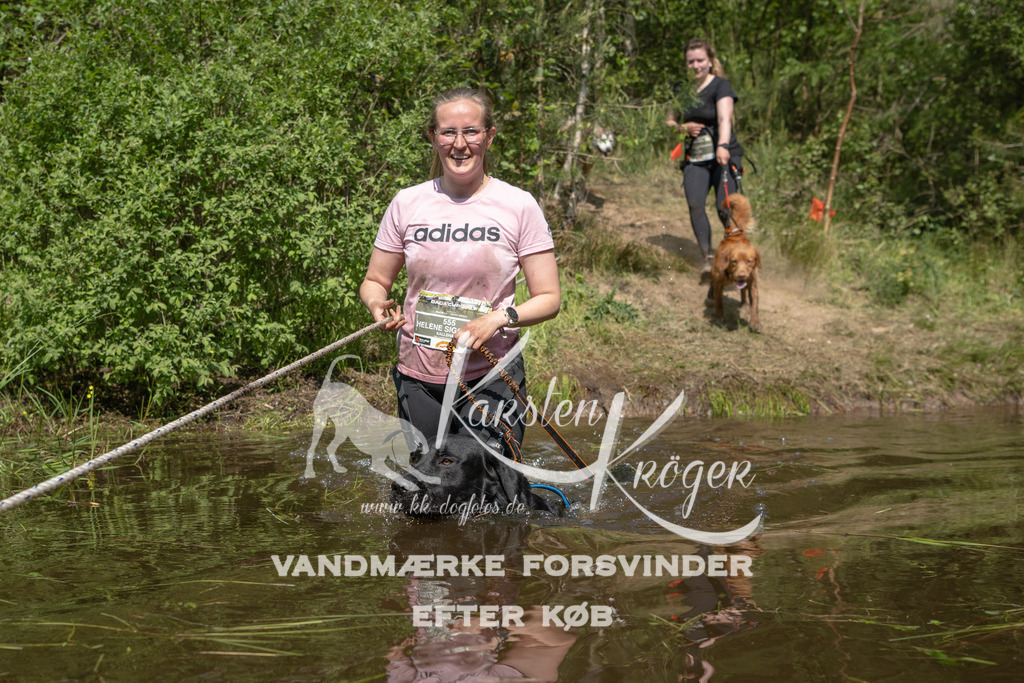 1035DKK990998 | kk-dogfotos