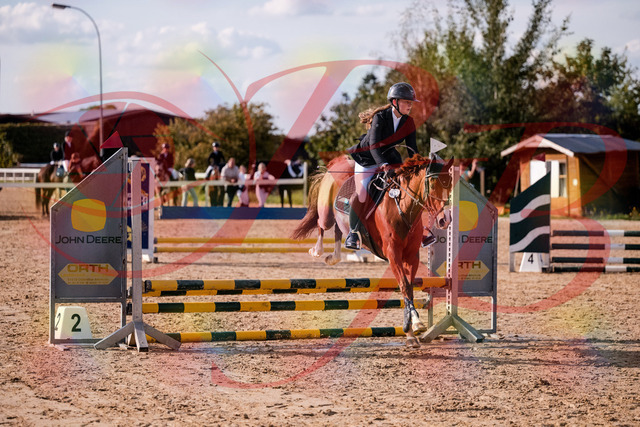 2026_10_03_Siefer-Hof_155750_Z81_77441810 | Professionelle Reitsport-, Turnier- und Eventfotografie von Robert Broda. Galerien mit ausgewählten und bearbeiteten Bildern direkt online ansehen und bestellen.