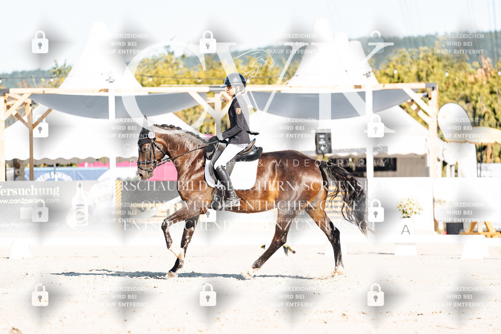 CK907190 | Turnierfotografie Pferdefotografie Trier Rheinland-Pfalz Pferdesport Reitsport Tierfotografie Sportfotografie Pferdevideo Pferdevideografie Equestrianvideography equestrianphotography  - Realisiert mit Pictrs.com
