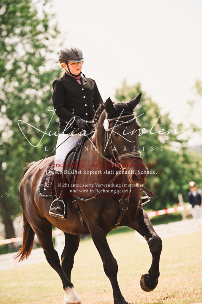 DSC_6174 | Pferde- und Turnierfotografie in Westsachsen. Pferdeportraits, Auftragszeichnungen und intuitive Kunst.