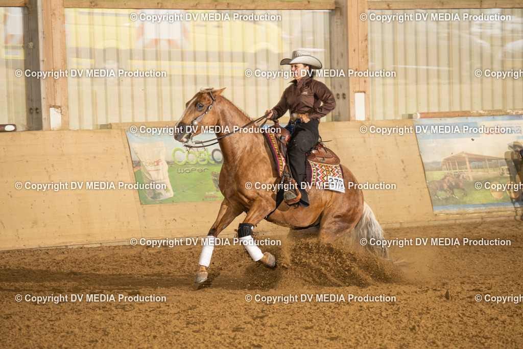 LAU00677 | dv-media-shop - Realisiert mit Pictrs.com