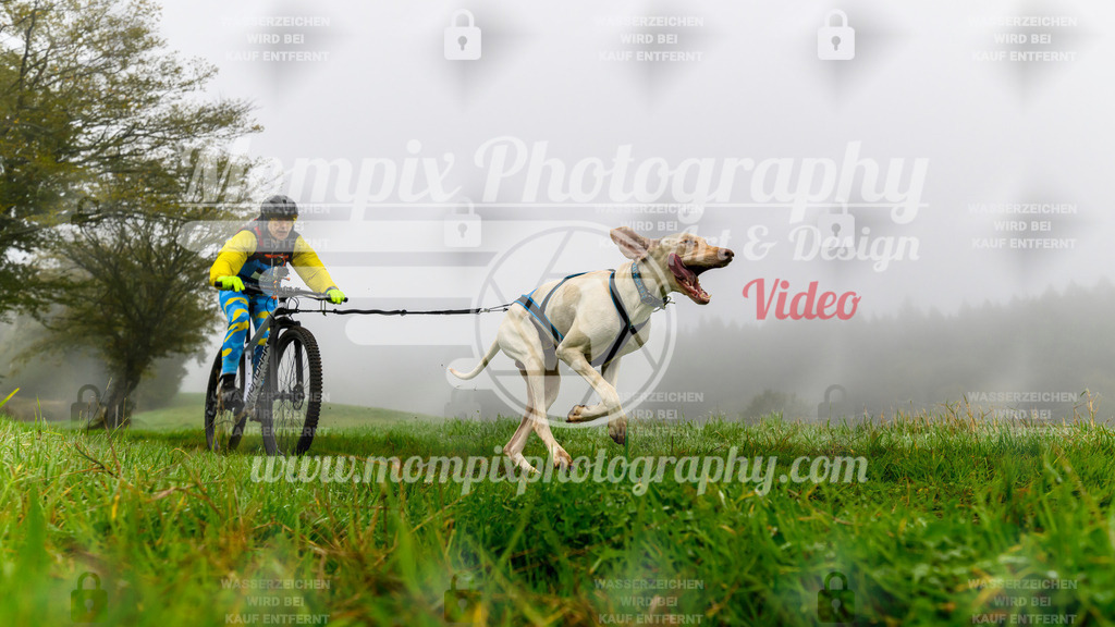 MompixPhotography_20TSB_E5_Bike-91 | PayLife