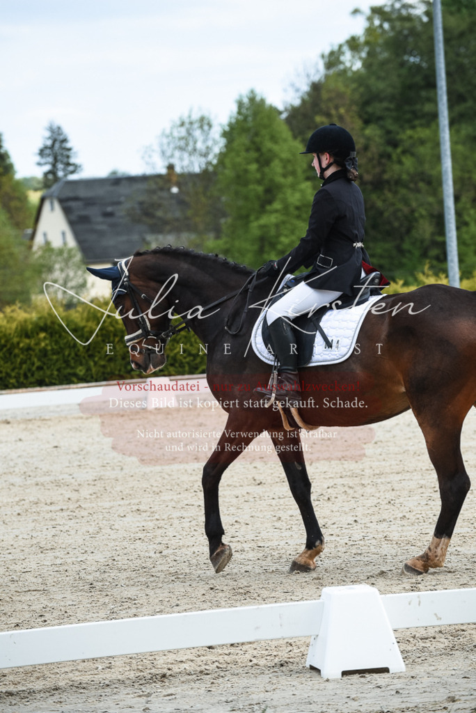 20230518_JK-Röhrsdorf-12-0066 | Pferde- und Turnierfotografie in Westsachsen. Pferdeportraits, Auftragszeichnungen und intuitive Kunst.
