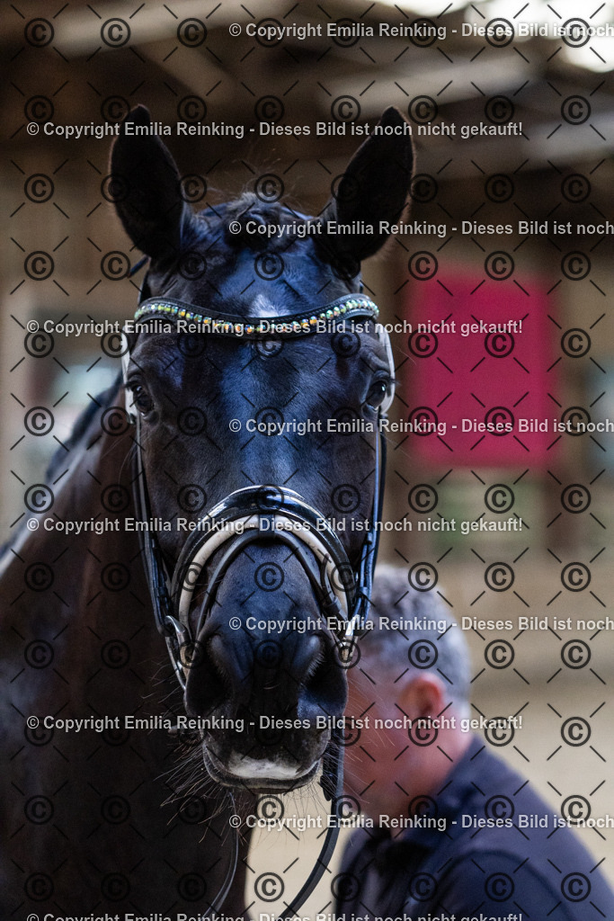 CL5A0383 | Emilia Reinking Fotografie - Realisiert mit Pictrs.com