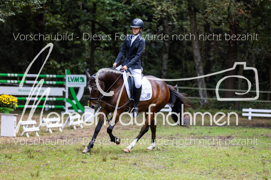 HB-Dressur-WB-019 | MomenTaufnahmen Pferdesportfotos