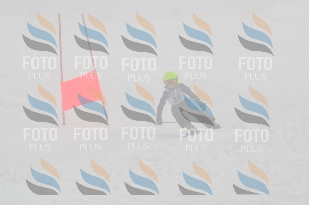 A5298 | holidayphoto