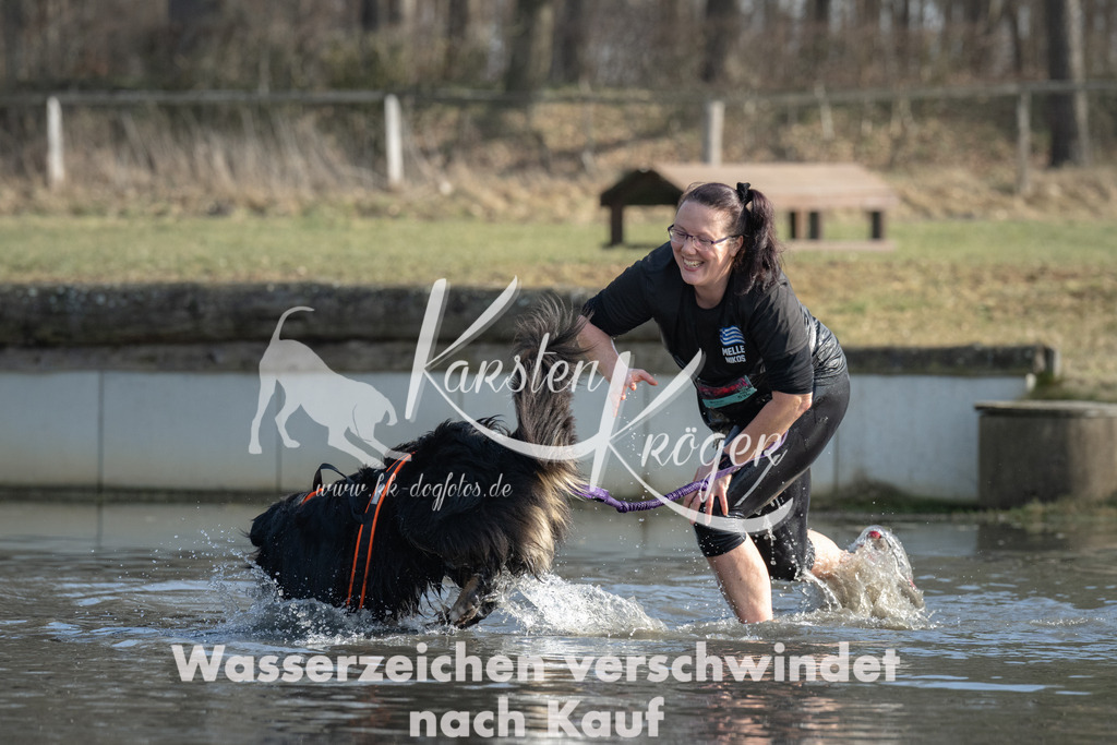 1335_ZZ97391 | kk-dogfotos