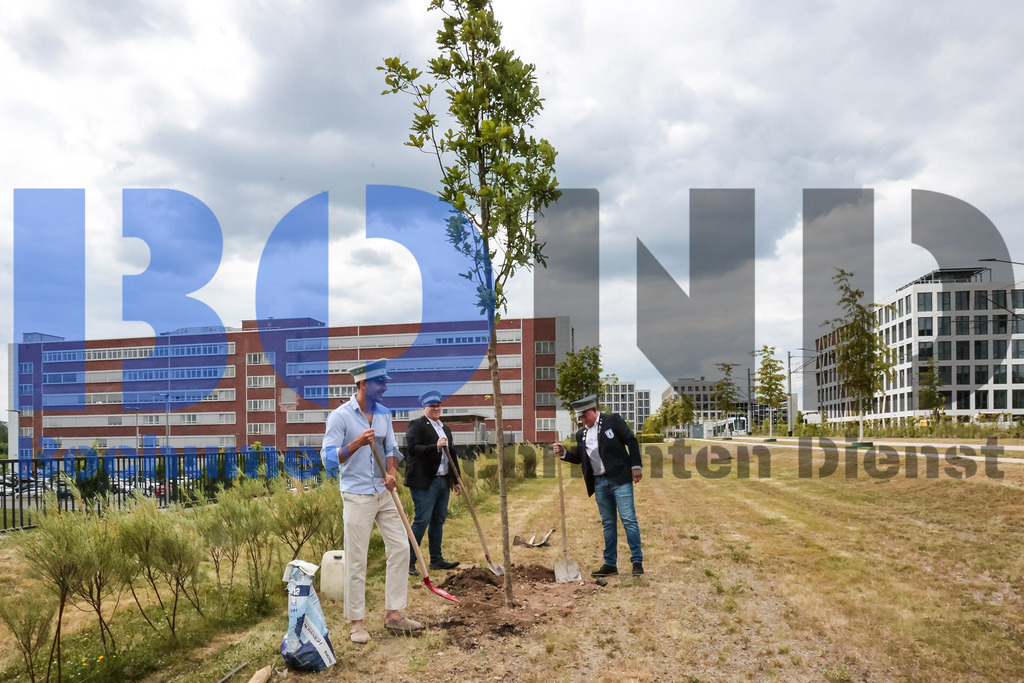 Eicheingrabung | Eicheingrabung - Realisiert mit Pictrs.com