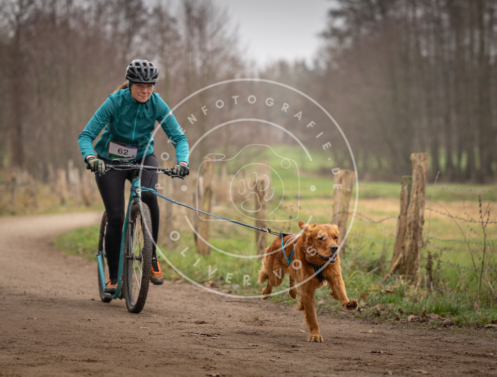 Pfotenfotografie_DV3A3263 | Hundefotografie, Tierfotograf, Pfotenfotografie, Fotoshooting Hund, Hunde Portrait, Hundesport, Hundeportraits, Heideshooting, Hunde, Sportfotograf, Hundefotograf, Turnierhundsport, THS,  - Realisiert mit Pictrs.com