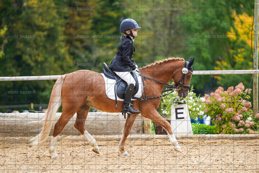 20221008-FAH01297 | Diessen am Ammersee, 2022, Dressur- und Springturnier, Reitsportbilder, Turnierfotografen Bayern, Pferdefotografen, Fotoagentur Herrmann, Turnierbilder