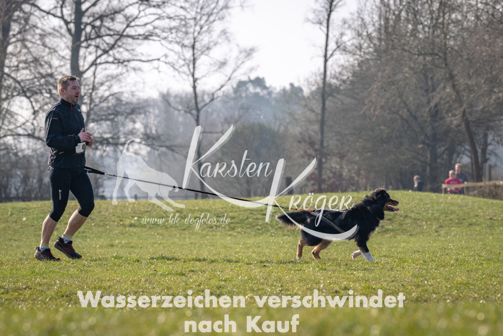 _ZZ91310 | kk-dogfotos