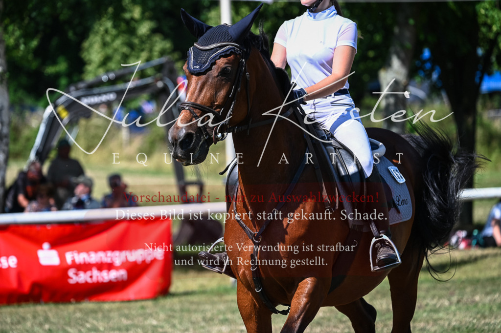 DSC_1725 | Pferde- und Turnierfotografie in Westsachsen. Pferdeportraits, Auftragszeichnungen und intuitive Kunst.