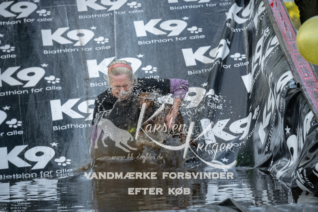 1617_ZZ92229 | kk-dogfotos