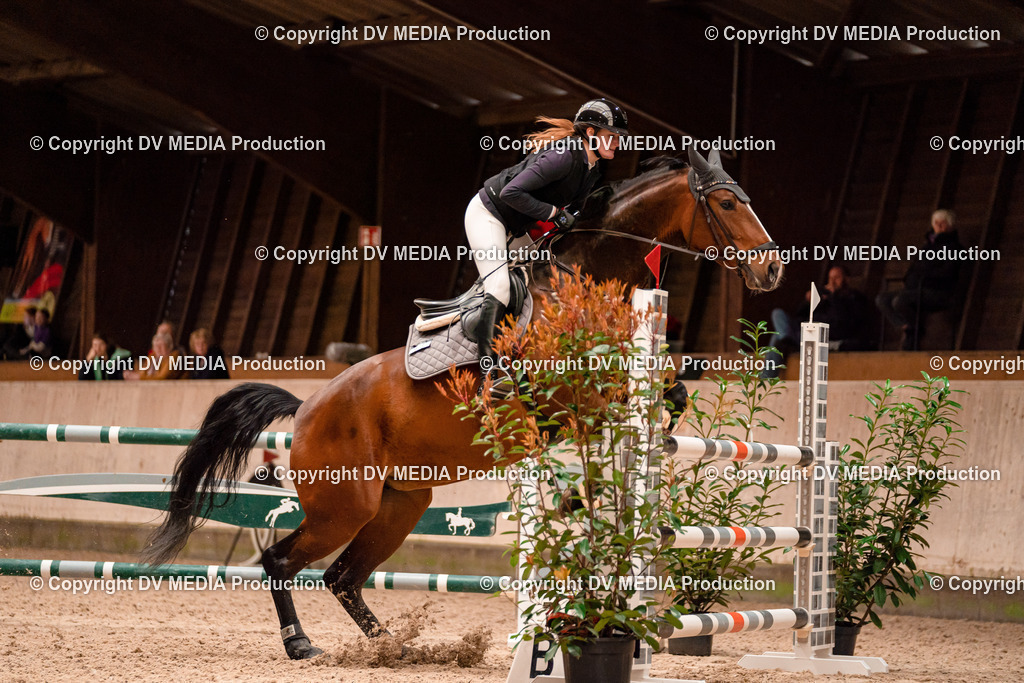 Springen Tag 1-538 | dv-media-shop - Realisiert mit Pictrs.com