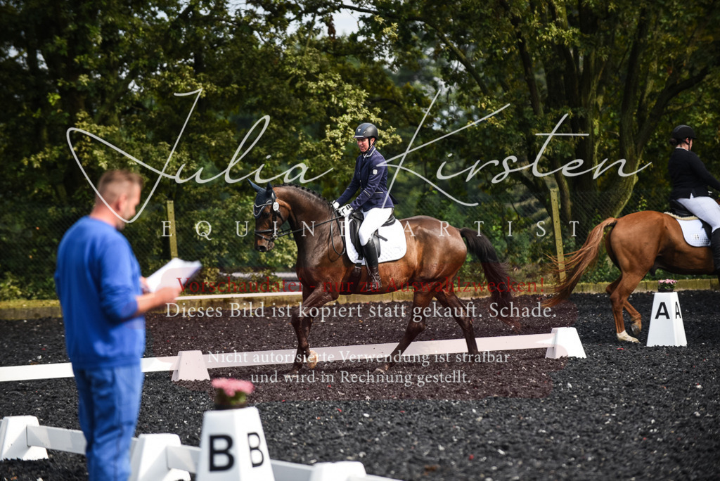 DSC_3033 | Pferde- und Turnierfotografie in Westsachsen. Pferdeportraits, Auftragszeichnungen und intuitive Kunst.