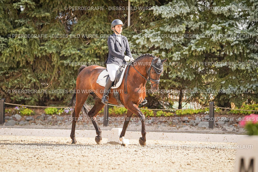 DSC00934 | Pferdegrafie