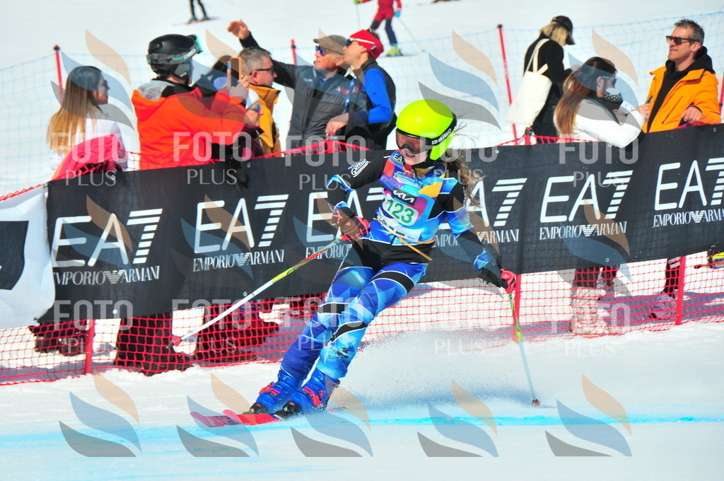 DSC_0981 | holidayphoto