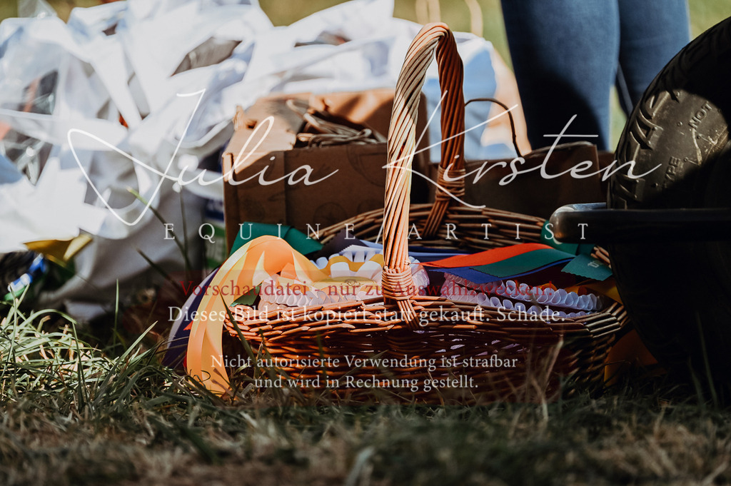 DSC_8836 | Pferde- und Turnierfotografie in Westsachsen. Pferdeportraits, Auftragszeichnungen und intuitive Kunst.