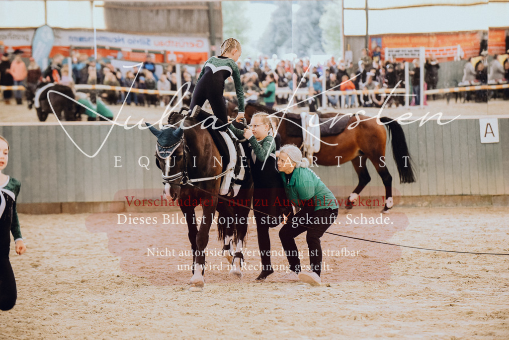 DSC_6868 | Pferde- und Turnierfotografie in Westsachsen. Pferdeportraits, Auftragszeichnungen und intuitive Kunst.
