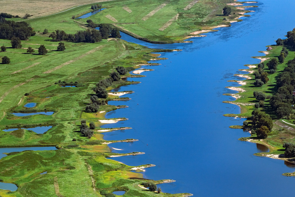 dr__0200033.jpg | LANGENDORF 06.09.2023 Sand- Aufspülungen und Ablagerungen an der Buhnen- Landschaft der Uferbereiche - Flussverlaufes an der Sandstraße in Langendorf im Bundesland Niedersachsen, Deutschland. 