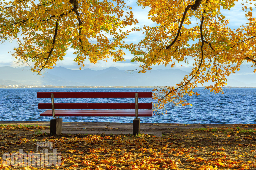Bänkle am Bodensee bei Lindau mit Blick nach Bregenz | Ein idyllisches Bänkle am Bodenseeufer bei Lindau lädt zum Innehalten und Genießen ein. Der Blick über den See in Richtung Bregenz verbindet die ruhige Uferlandschaft mit der beeindruckenden Kulisse der österreichischen Alpen. - Realisiert mit Pictrs.com