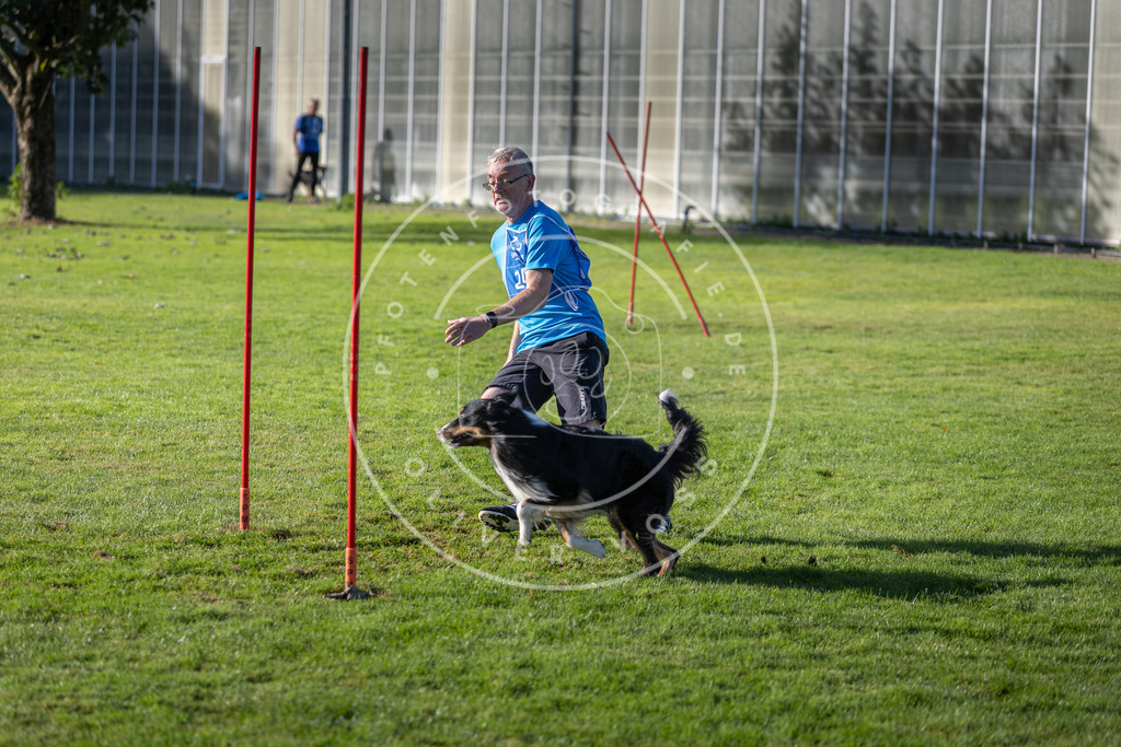 Pfotenfotografie.de_DV3A3298 | Hundefotografie, Tierfotograf, Pfotenfotografie, Fotoshooting Hund, Hunde Portrait, Hundesport, Hundeportraits, Heideshooting, Hunde, Sportfotograf, Hundefotograf, Turnierhundsport, THS, canicross - Realisiert mit Pictrs.com