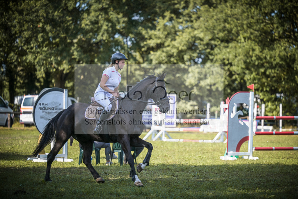 DOS_1200 | Entdecke hochwertige Reitturnierfotos von Foto Oger. Professionell, emotional und authentisch – jetzt Lieblingsmomente im Shop bestellen.Deutschlandweite Turnierfotografie. - Realisiert mit Pictrs.com