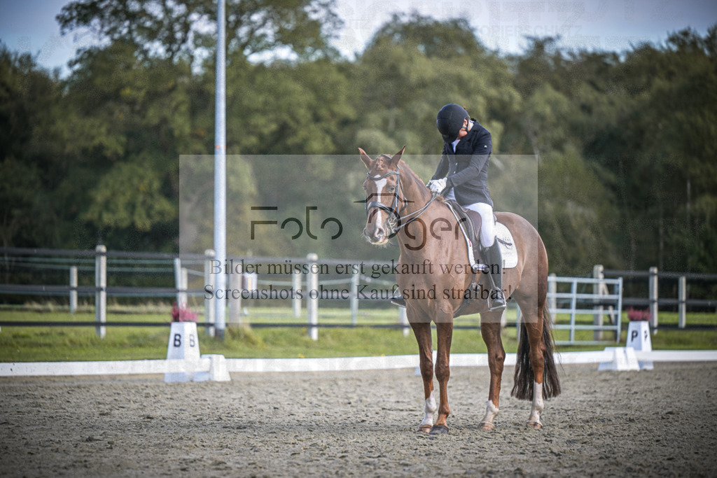 DOS_3849 | Entdecke hochwertige Reitturnierfotos von Foto Oger. Professionell, emotional und authentisch – jetzt Lieblingsmomente im Shop bestellen.Deutschlandweite Turnierfotografie. - Realisiert mit Pictrs.com