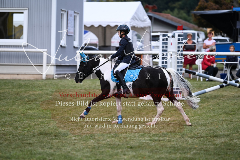 DSC_5466 | Pferde- und Turnierfotografie in Westsachsen. Pferdeportraits, Auftragszeichnungen und intuitive Kunst.