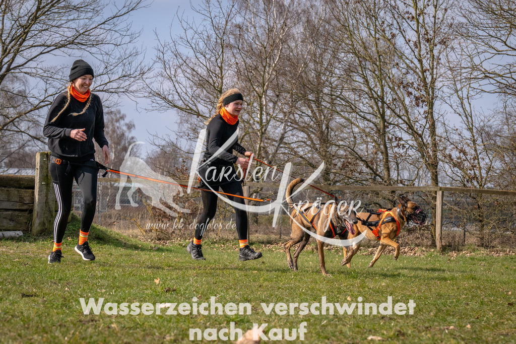 _ZZ90243 | kk-dogfotos