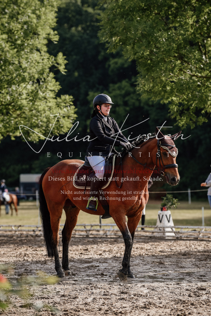 DSC_8539 | Pferde- und Turnierfotografie in Westsachsen. Pferdeportraits, Auftragszeichnungen und intuitive Kunst.