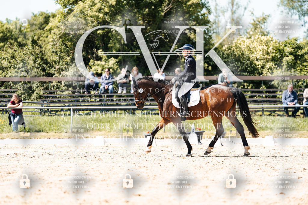 CK905661 | Turnierfotografie Pferdefotografie Trier Rheinland-Pfalz Pferdesport Reitsport Tierfotografie Sportfotografie Pferdevideo Pferdevideografie Equestrianvideography equestrianphotography  - Realisiert mit Pictrs.com