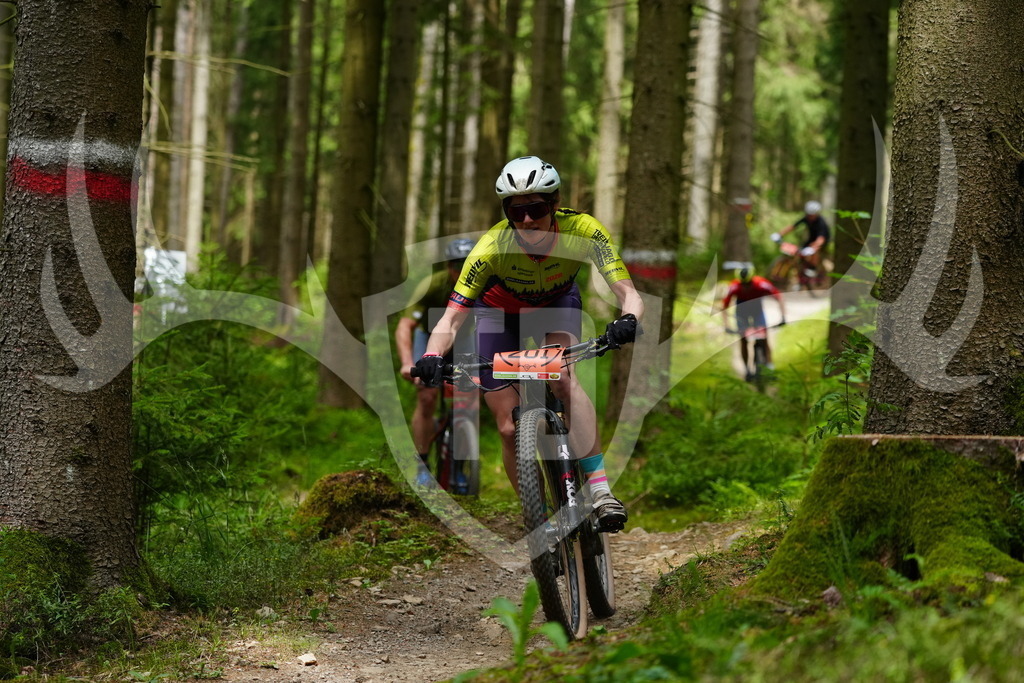 FC100349 | Fotogalerie der Treibjagd im Dunkelwald - Dein MTB Etappenrennen im Erzgebirge - Realisiert mit Pictrs.com