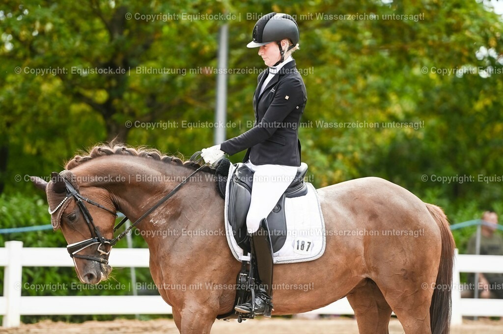 20230715_07_Dressurpferdeprfg. Kl.L_0071 | equistock