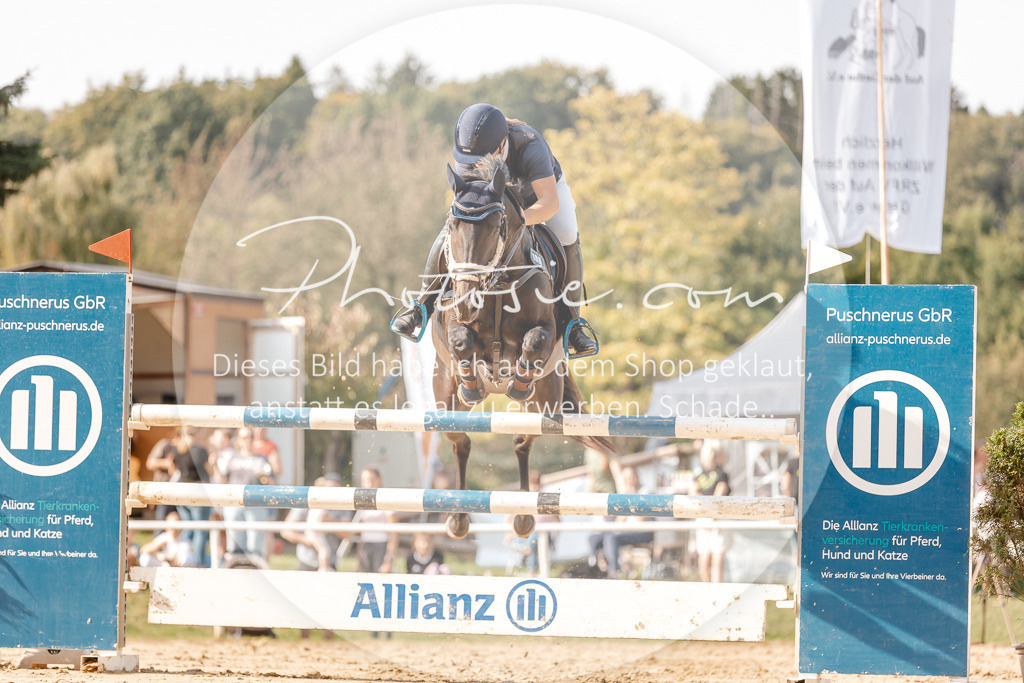 3I6A4884 | Stimmungsvolle Portraits und Reitsportfotografie im Ruhrgebiet und im Münsterland.

Pferdefotografie, Hundefotografie, Tierfotografie, Reportagen, Portraits von Tier und Mensch, Turnierfotografie in Bochum, Recklinghausen, Marl, Haltern am See, Dülmen.. - Realisiert mit Pictrs.com