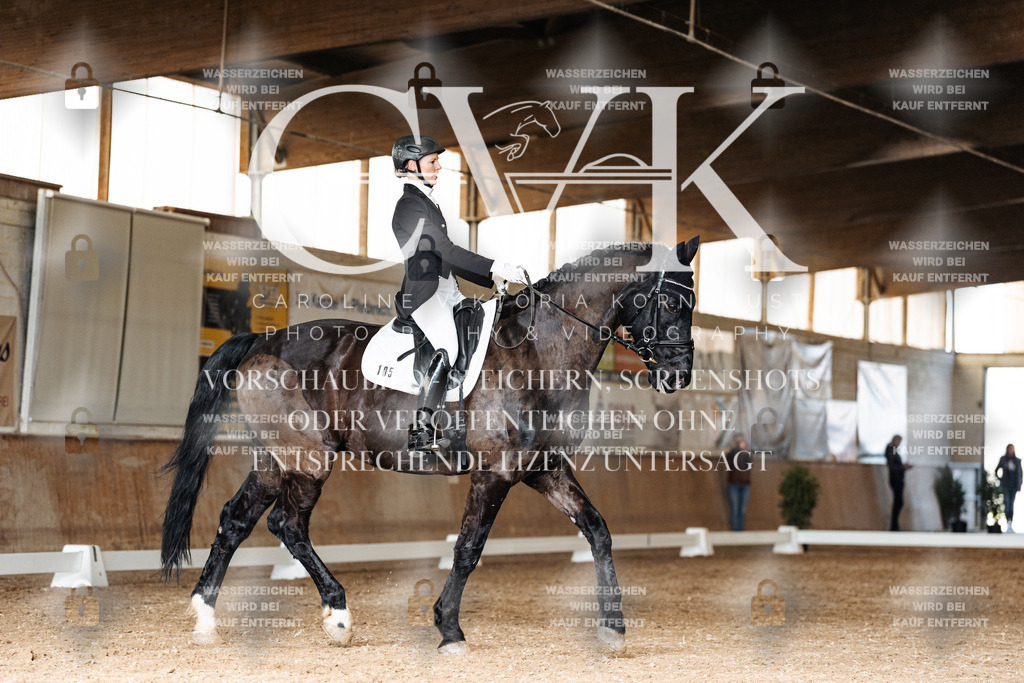 CK902114 | Turnierfotografie Pferdefotografie Trier Rheinland-Pfalz Pferdesport Reitsport Tierfotografie Sportfotografie Pferdevideo Pferdevideografie Equestrianvideography equestrianphotography  - Realisiert mit Pictrs.com