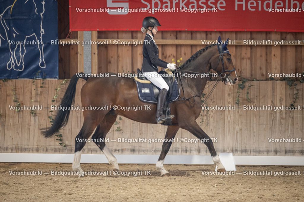 _D5A5631 | Emotionale Pferde- & People-Fotografie rund um Heidelberg, Leimen & Umgebung. Natürliche Fotos von Pferd, Mensch & Familie. Jetzt Termin sichern!