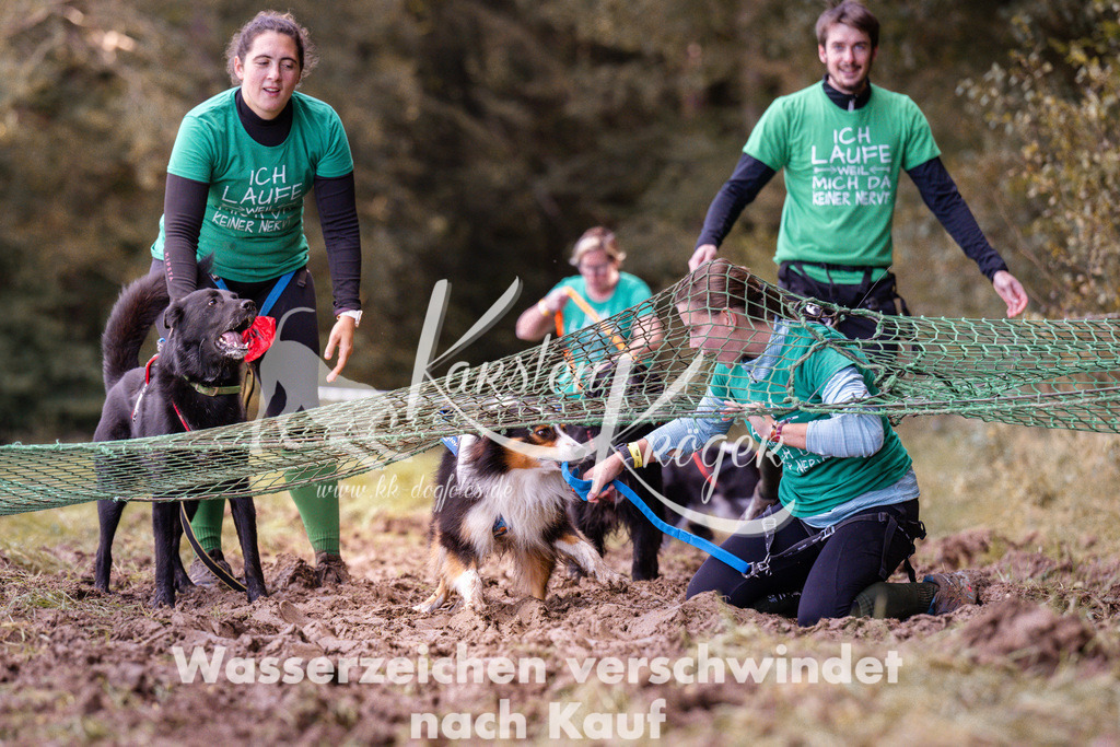 1216_ZZ92785 | kk-dogfotos