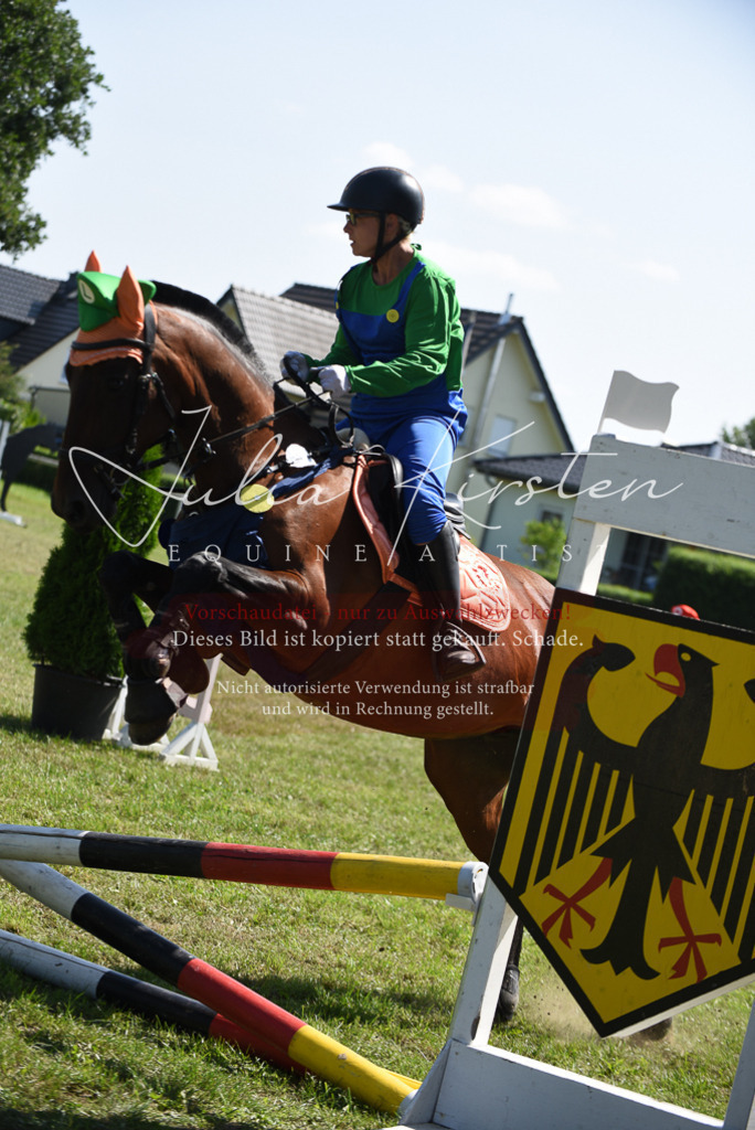 DSC_0257 | Pferde- und Turnierfotografie in Westsachsen. Pferdeportraits, Auftragszeichnungen und intuitive Kunst.