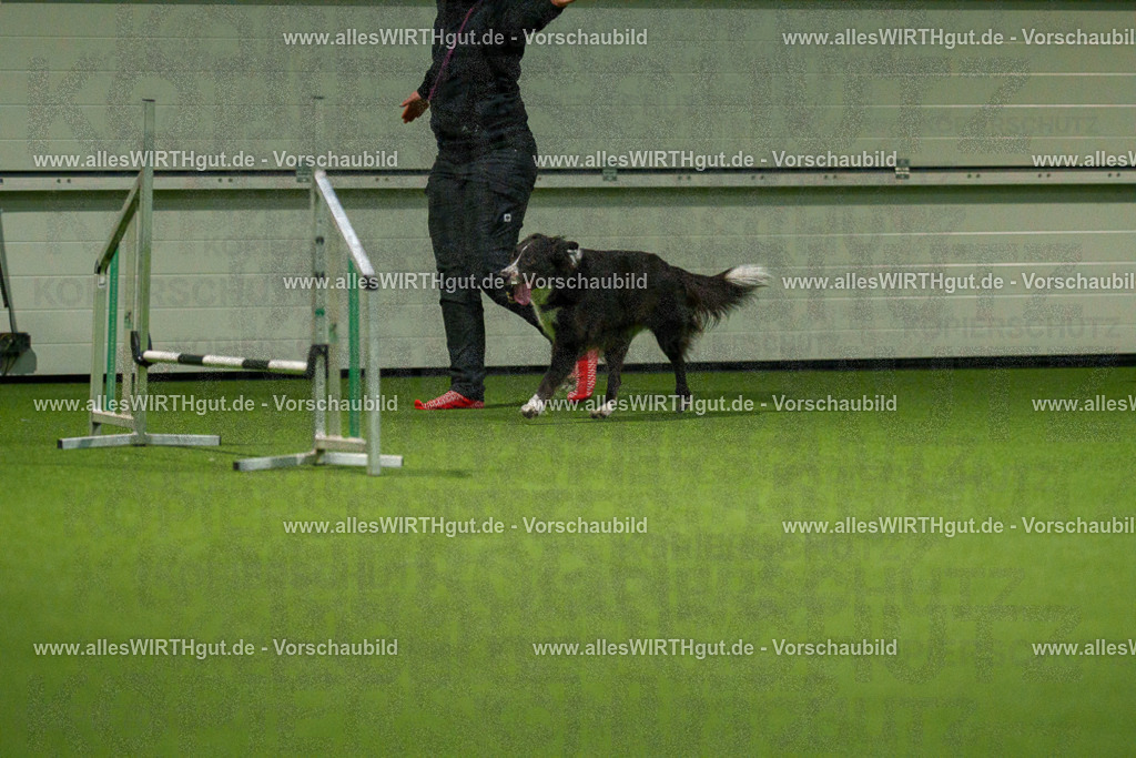 7R507303 | Professionelle Tierfotografie in Mönchengladbach von Daniel Wirth (allesWIRTHgut). Liebevolle & natürliche Bilder von Hunden & Katzen für unvergessliche Erinnerungen.