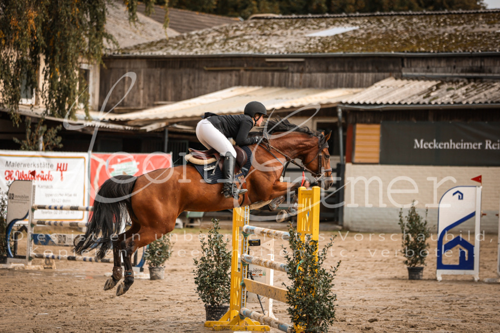 12.SaSpM00433 | Leoni Ertmer Photography - Realisiert mit Pictrs.com