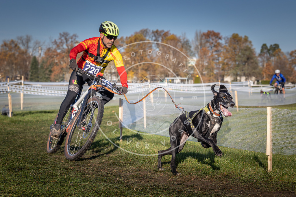 CaniXpix_0L8A4636 | Hundefotografie, Tierfotograf, Pfotenfotografie, Fotoshooting Hund, Hunde Portrait, Hundesport, Hundeportraits, Heideshooting, Hunde, Sportfotograf, Hundefotograf, Turnierhundsport, THS,  - Realisiert mit Pictrs.com