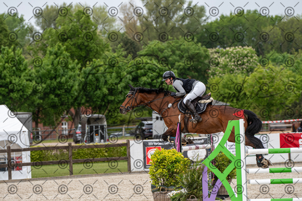 KPT_9924 | andre_photographic