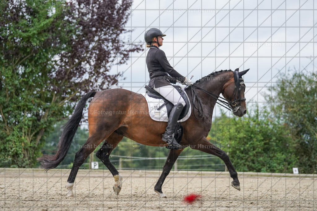 20230826-FAH06288 | Forstinning, 2023, Dressurturnier, Turniersportbilder, Turnierfotografen Bayern, Fotoagentur Herrmann, Reitsportfotografie, Turnierbilder