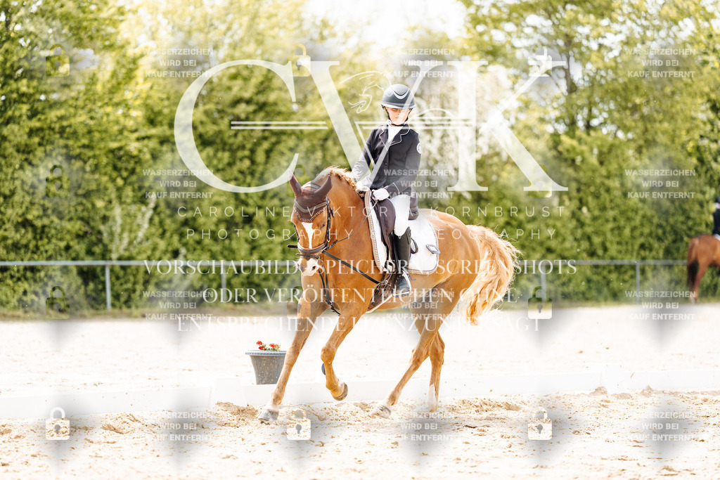 CK902538 | Turnierfotografie Pferdefotografie Trier Rheinland-Pfalz Pferdesport Reitsport Tierfotografie Sportfotografie Pferdevideo Pferdevideografie Equestrianvideography equestrianphotography  - Realisiert mit Pictrs.com